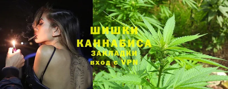 Канабис White Widow  Белёв 